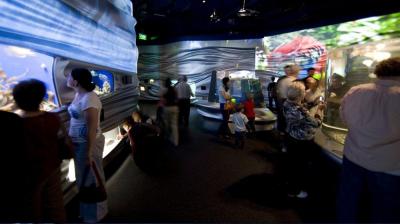 水族馆主题馆【展厅装修效果图】